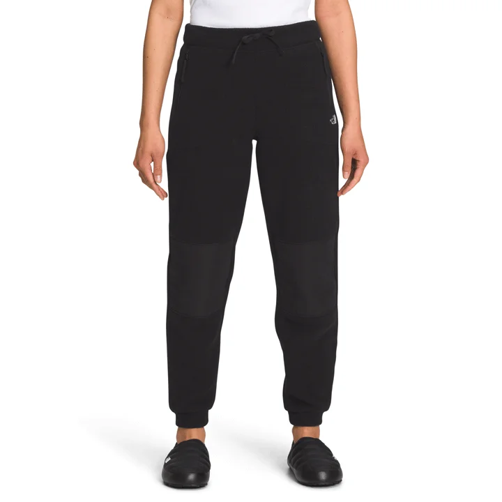 Affordable selection The North Face Alpine Polartec 200 Pant Womens